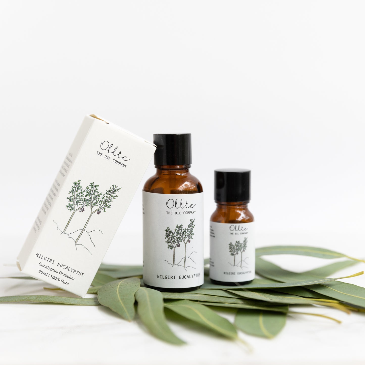 Nilgiri Eucalyptus Oil (30ml)