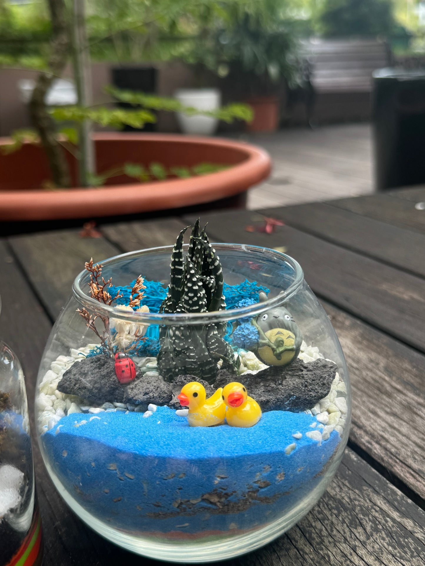 Build Your Own Terrarium Workshop on 17 & 30 Nov 2024