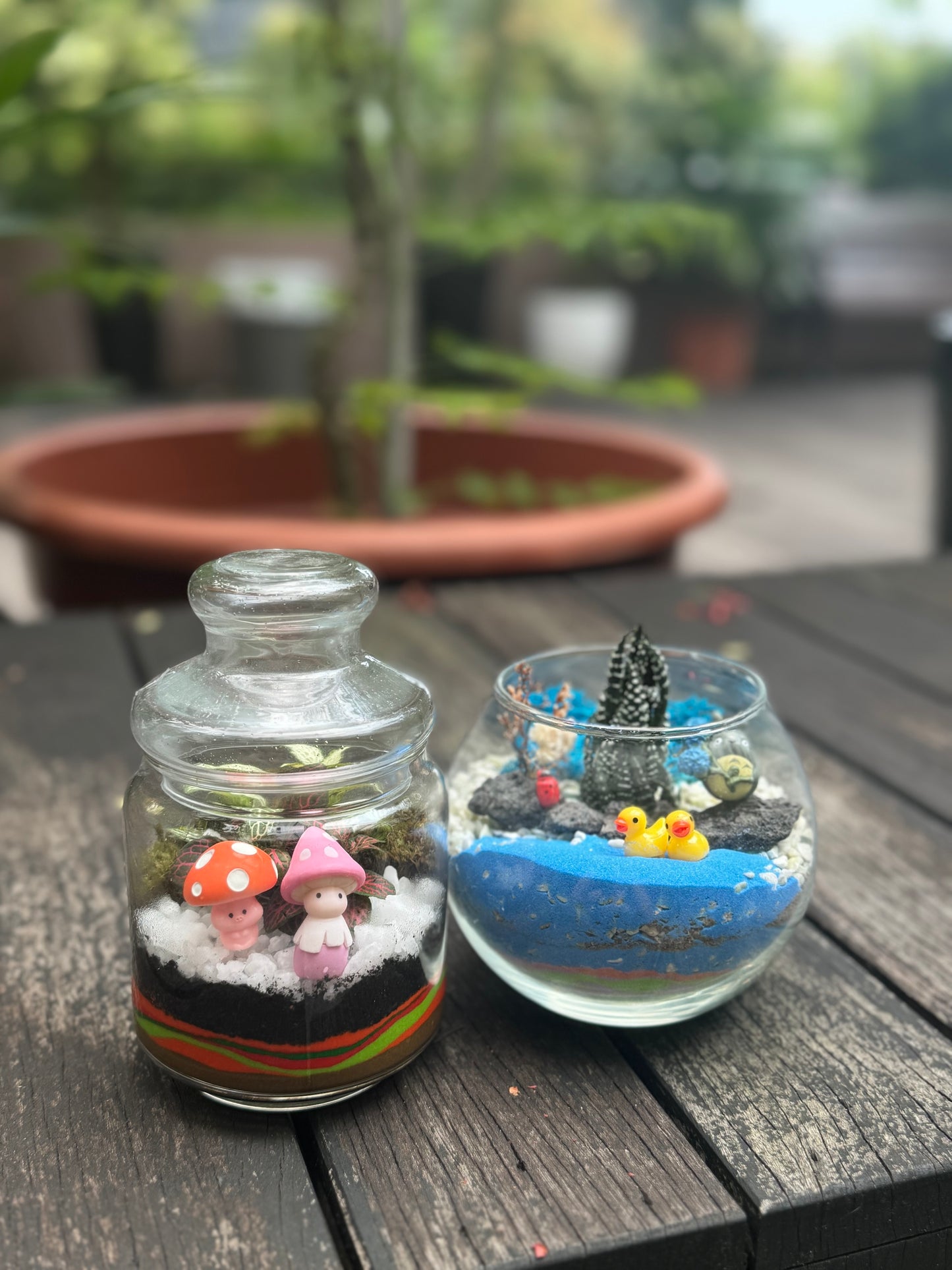 Build Your Own Terrarium Workshop on 17 & 30 Nov 2024