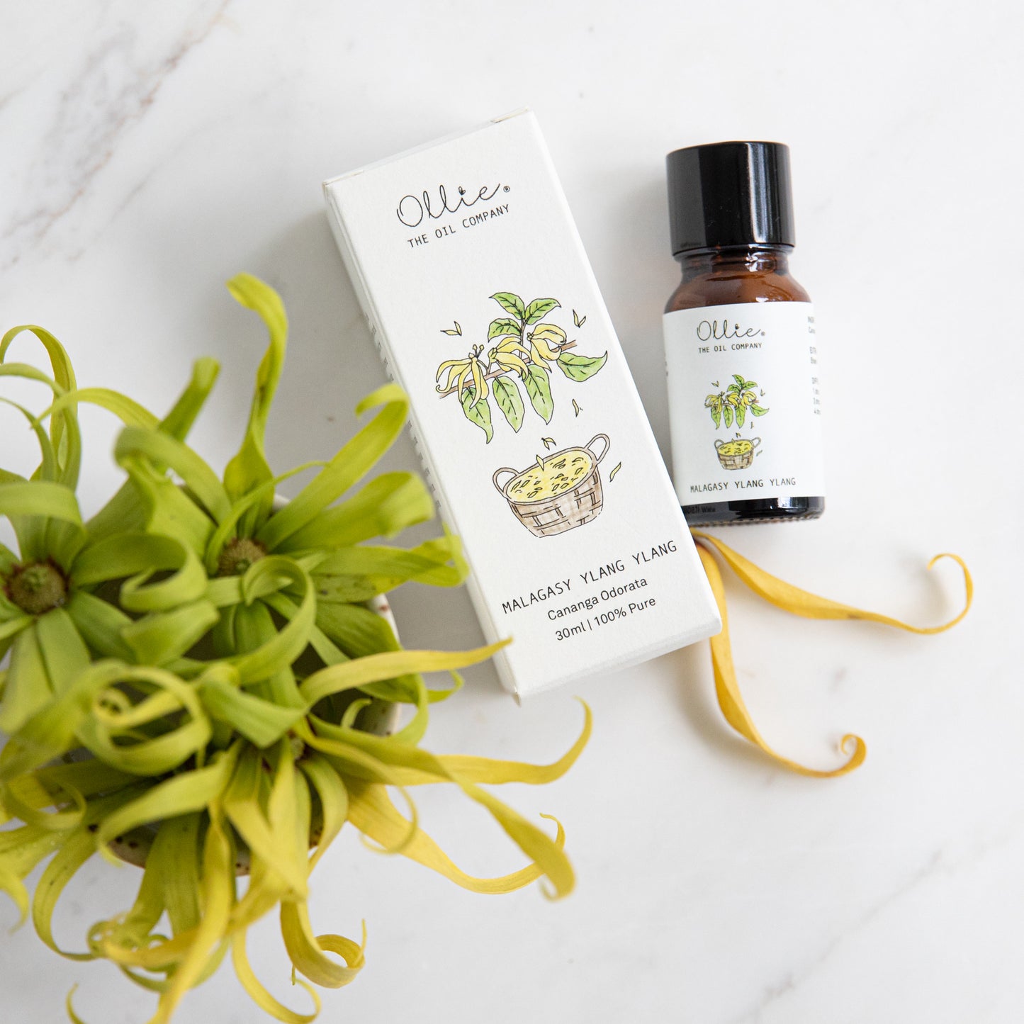 Malagasy Ylang Ylang Oil (30ml)