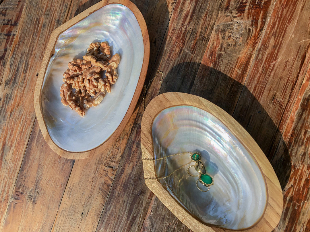 Mermaid Shell and Teak Display