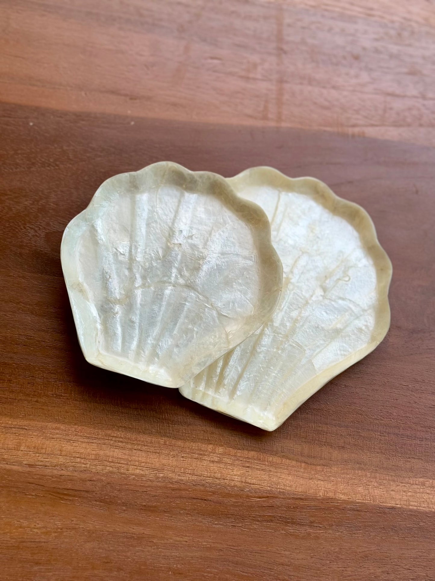 Mother of Pearl Seashell Dish (Large)