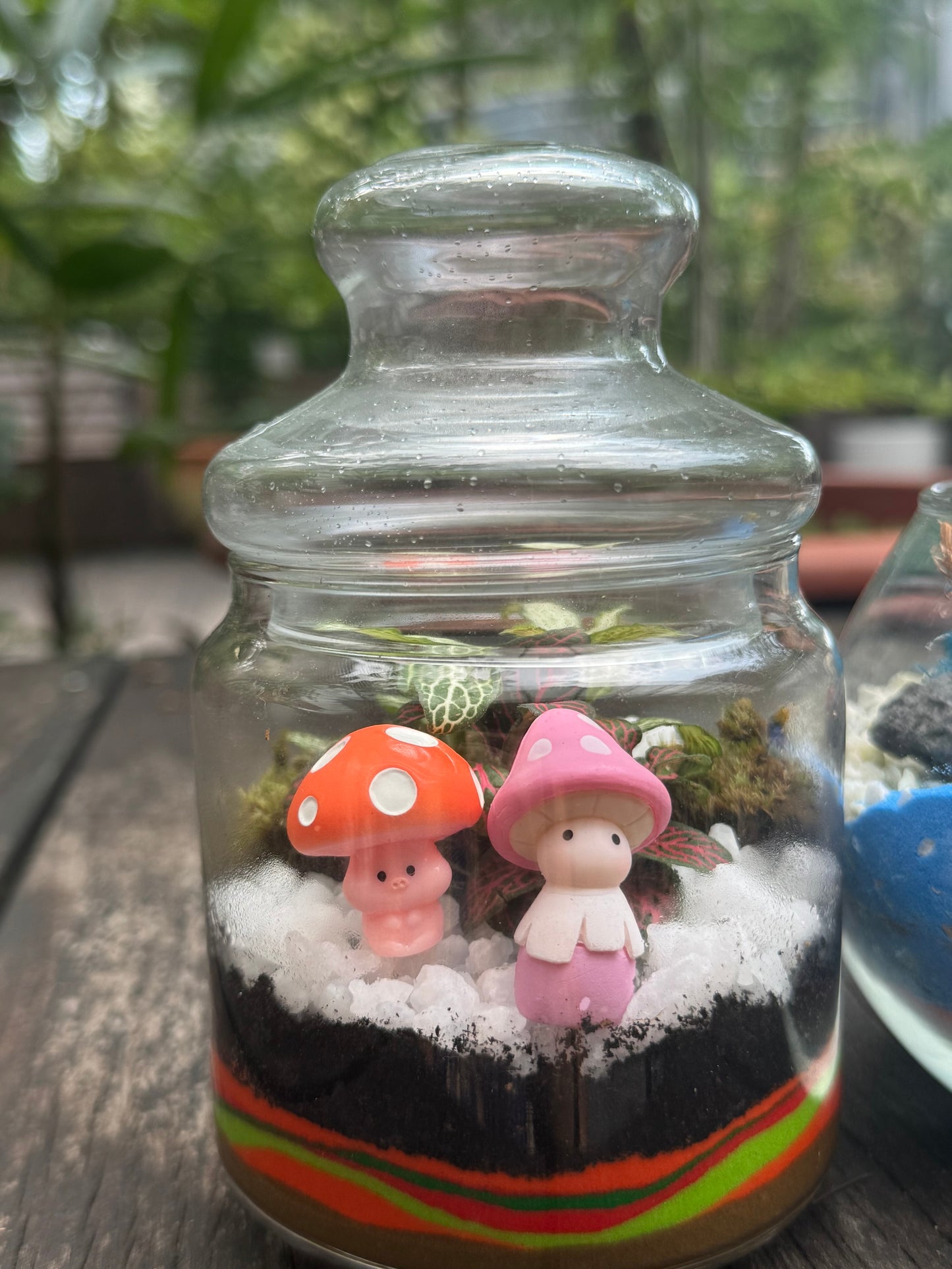 Build Your Own Terrarium Workshop on 17 & 30 Nov 2024