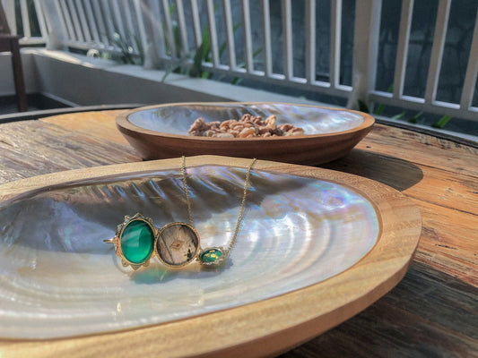 Mermaid Shell and Teak Display